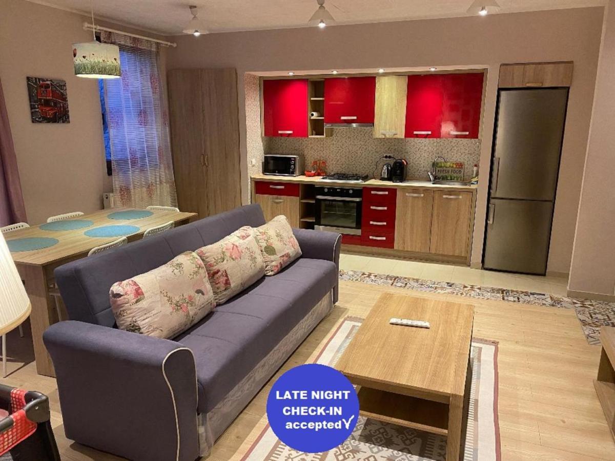 Igi Red Flat With Free Private Parking Appartement Cluj-Napoca Buitenkant foto
