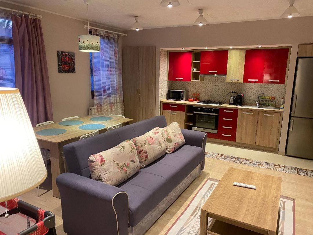 Igi Red Flat With Free Private Parking Appartement Cluj-Napoca Buitenkant foto